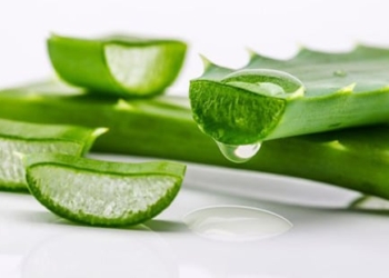 Was ist Aloe Vera? Nutzen für die Gesundheit und Anwendung