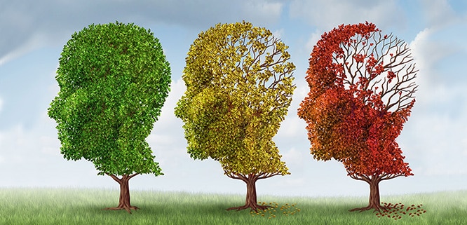 You are currently viewing Alzheimer’s disease: Symptoms, causes, treatment and protection
