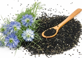 Schwarzkümmel: Anwendung, Wirkung und Vorteile