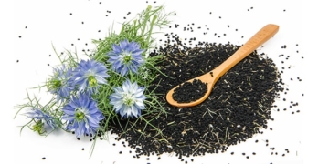 Schwarzkümmel: Anwendung, Wirkung und Vorteile