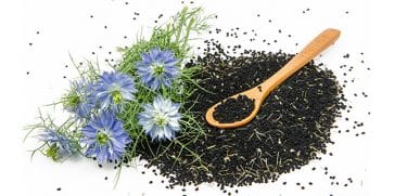 Read more about the article What are the benefits of black seed and oil? Uses and side effects