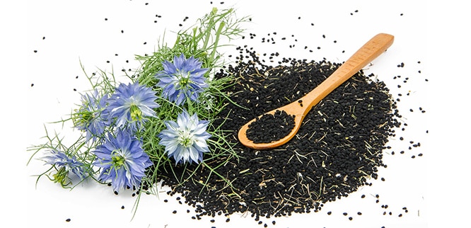 You are currently viewing What are the benefits of black seed and oil? Uses and side effects