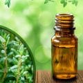 Health Benefits of Thyme: What is thyme oil good for? How to use it?