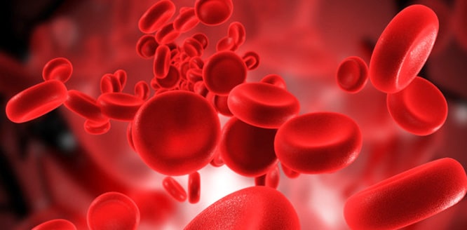 You are currently viewing Complete blood count: What are the normal values of hemogram test?
