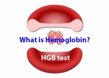 What is hemoglobin? Causes of high and low levels. HGB test