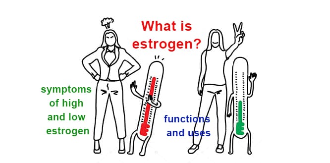 You are currently viewing What is the function of estrogen? Causes and symptoms of high level