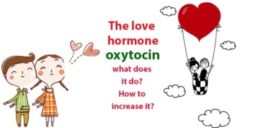 What is oxytocin, what does it do? How to increase the love hormone?