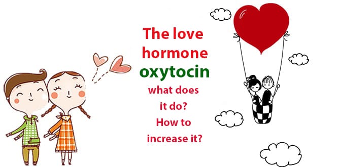 You are currently viewing What is oxytocin, what does it do? How to increase the love hormone?