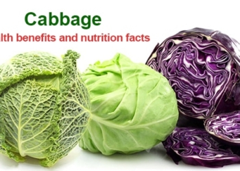 Cabbage: Health benefits, nutrition facts, recipes and side effects