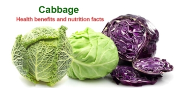 Cabbage: Health benefits, nutrition facts, recipes and side effects