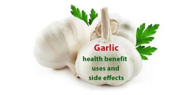 Read more about the article What is the health benefit of garlic? Uses and side effects