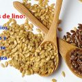 Las semillas de lino: Beneficios, recetas y el aceite de lianza