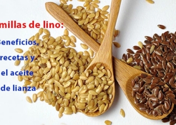 Las semillas de lino: Beneficios, recetas y el aceite de lianza