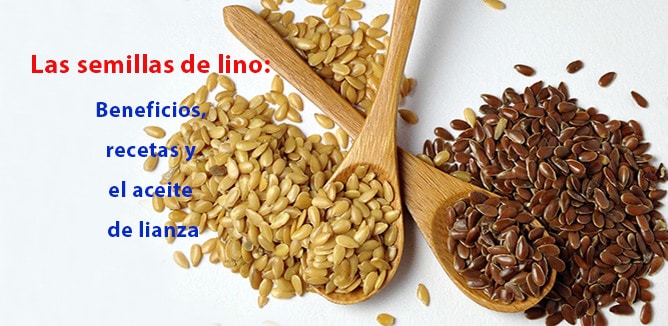 En este momento estás viendo Las semillas de lino: Beneficios, recetas y el aceite de lianza