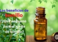 Los beneficios de tomillo ¿Qué es bueno para el aceite de tomillo?