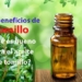Los beneficios de tomillo ¿Qué es bueno para el aceite de tomillo?