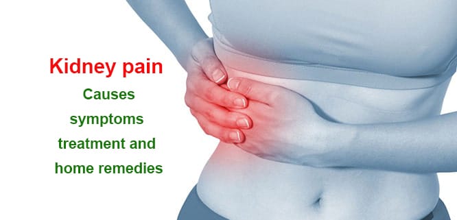 You are currently viewing What causes kidney pain? Symptoms, treatment and home remedies