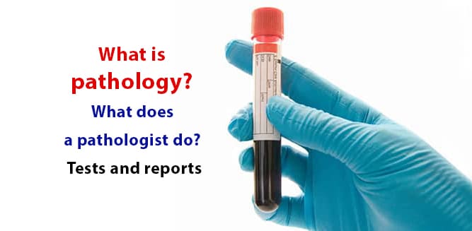 You are currently viewing What is pathology? What does a pathologist do? Tests and reports