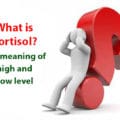 What is Cortisol? The meaning of high and low level