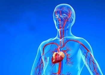 Angiography (Angiogram): Preparation, procedure, results and risks