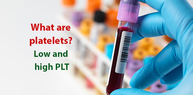 What Is Plt In Blood Test Results – QXYVRS