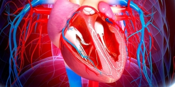 Koronare Herzkrankheit (KHK): Symptome, Ursachen und Behandlung