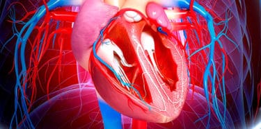 Подробнее о статье Что такое ишемическая болезнь сердца? Симптомы и лечение