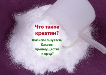 Что такое креатин? Как используется? Каковы преимущества и вред?