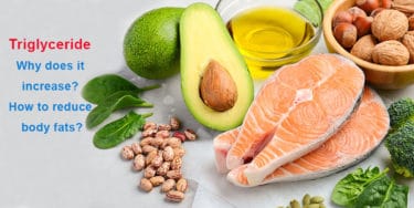 Read more about the article What is triglyceride? Why does it increase? How to reduce body fats?