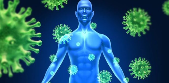 You are currently viewing How to boost your immune system against coronavirus? Ways and foods