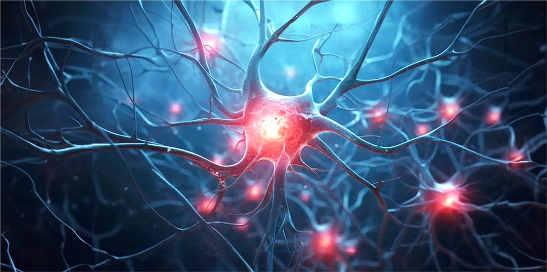 Read more about the article 3D Model Research Offers New Treatment Options for Alzheimer’s Disease