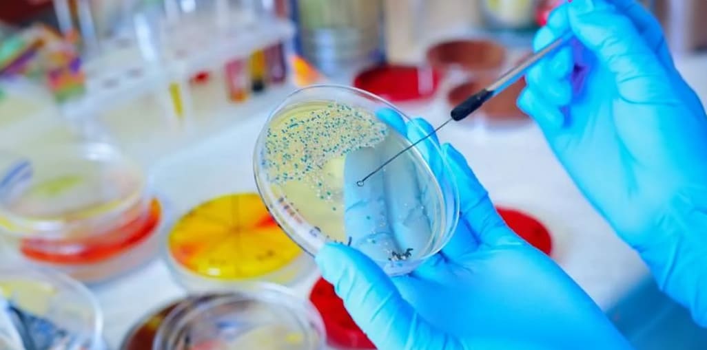Read more about the article Clovibactin: New Antibiotic Discovery Offers Hope Against Superbugs