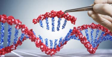 Read more about the article Could Utilizing DNA Repair Mechanisms Be an Option in Cancer Treatment?