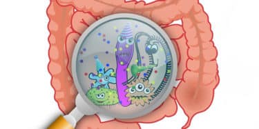 Read more about the article Gut Bacteria May Play a Key Role in Preventing Diabetes and Obesity