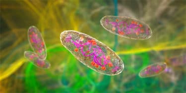 Read more about the article CRISPR-Engineered Bacteria: A Revolutionary New Tool in Cancer Detection