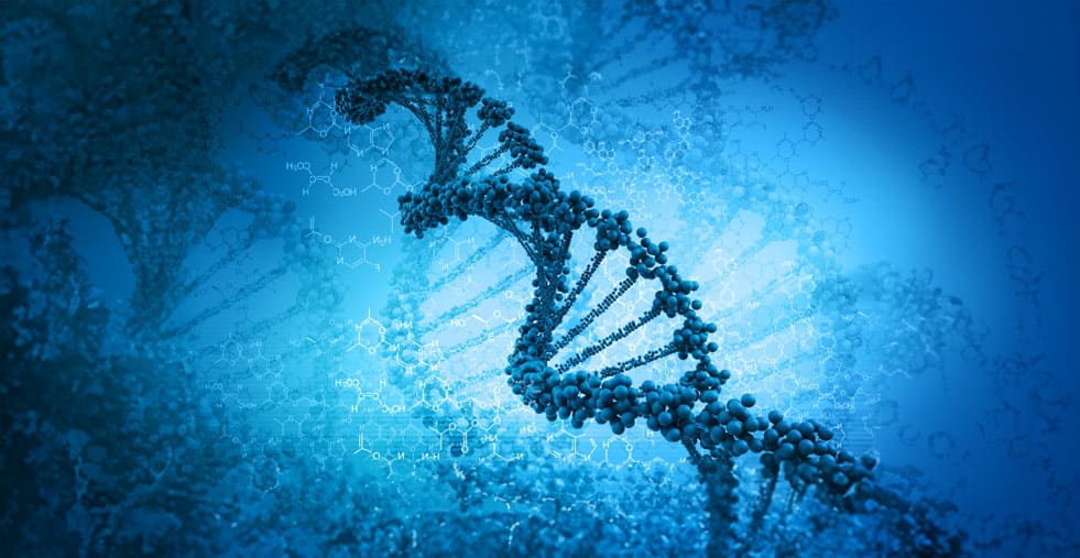 Read more about the article DR4 Allele Gene Factor: New Hope in the Battle Against Alzheimer’s and Parkinson’s