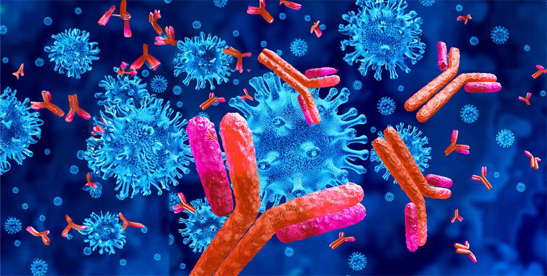 Read more about the article New Discovery Shows How Gamma Delta T Cells can Recognize – and destroy Cancer
