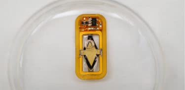 Read more about the article MIT’s Implantable Device Offers Hope for Injection-Free Diabetes Treatment