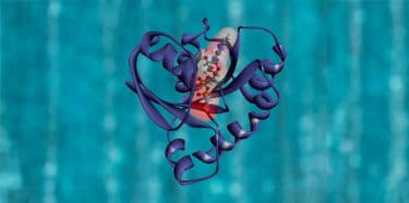 Read more about the article New ALS Treatment on the Horizon: ‘Velcro-like’ Protein Molecule Identified