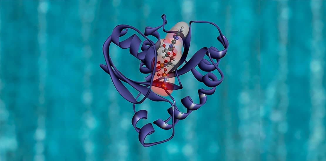 Read more about the article New ALS Treatment on the Horizon: ‘Velcro-like’ Protein Molecule Identified
